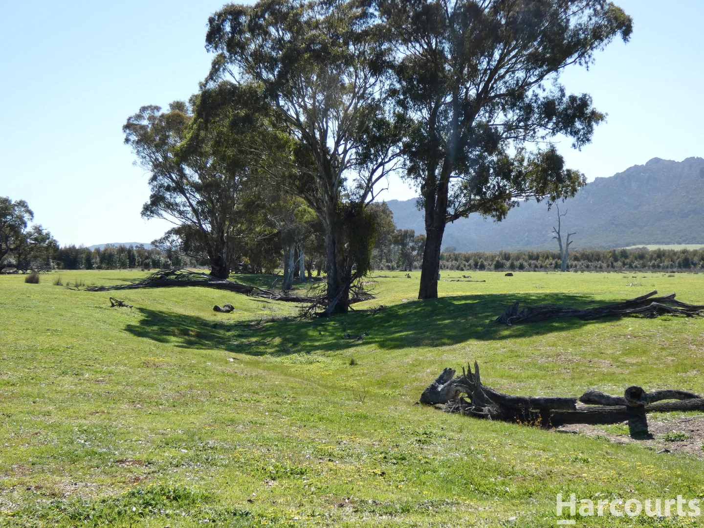 Additional image 30 of . Red Rock Road, Glenisla VIC 3314