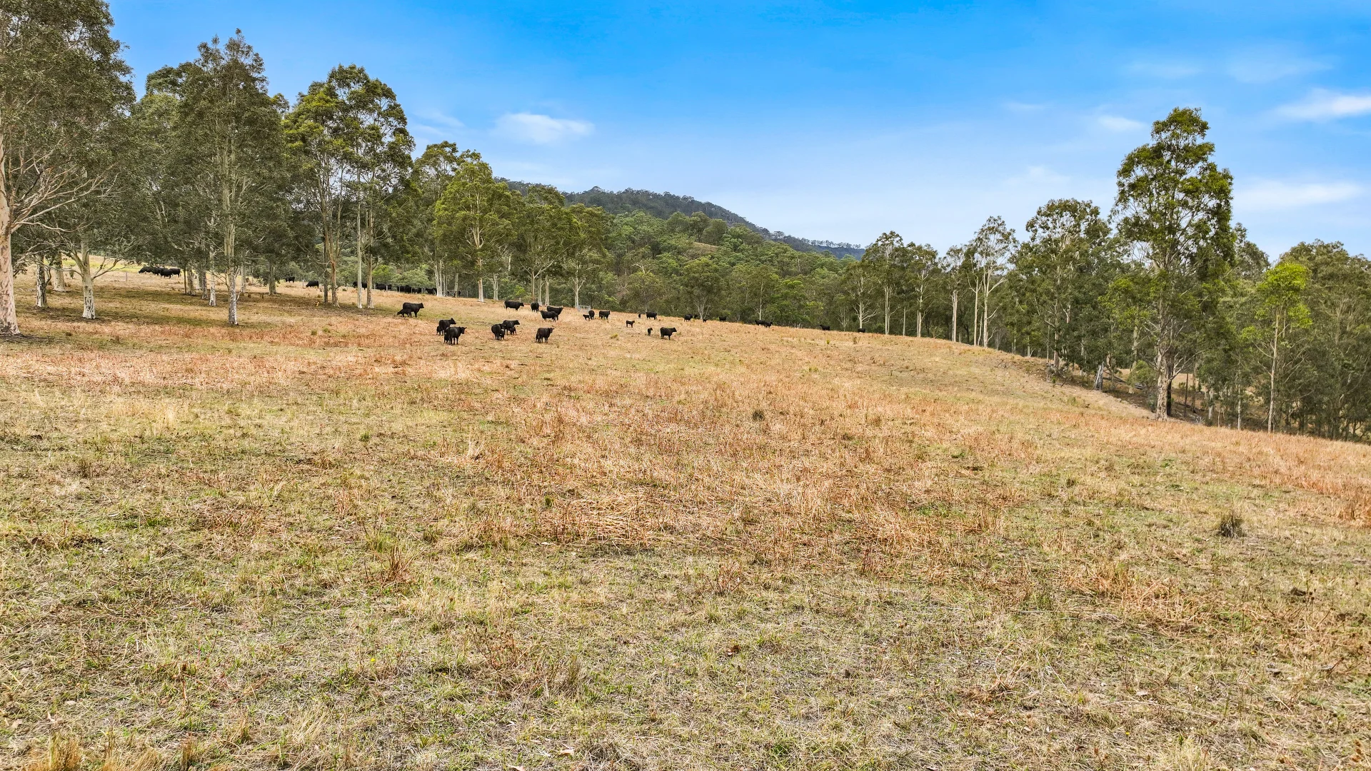 Additional image 6 of 190 Beggary Creek Road, Muscle Creek NSW 2333