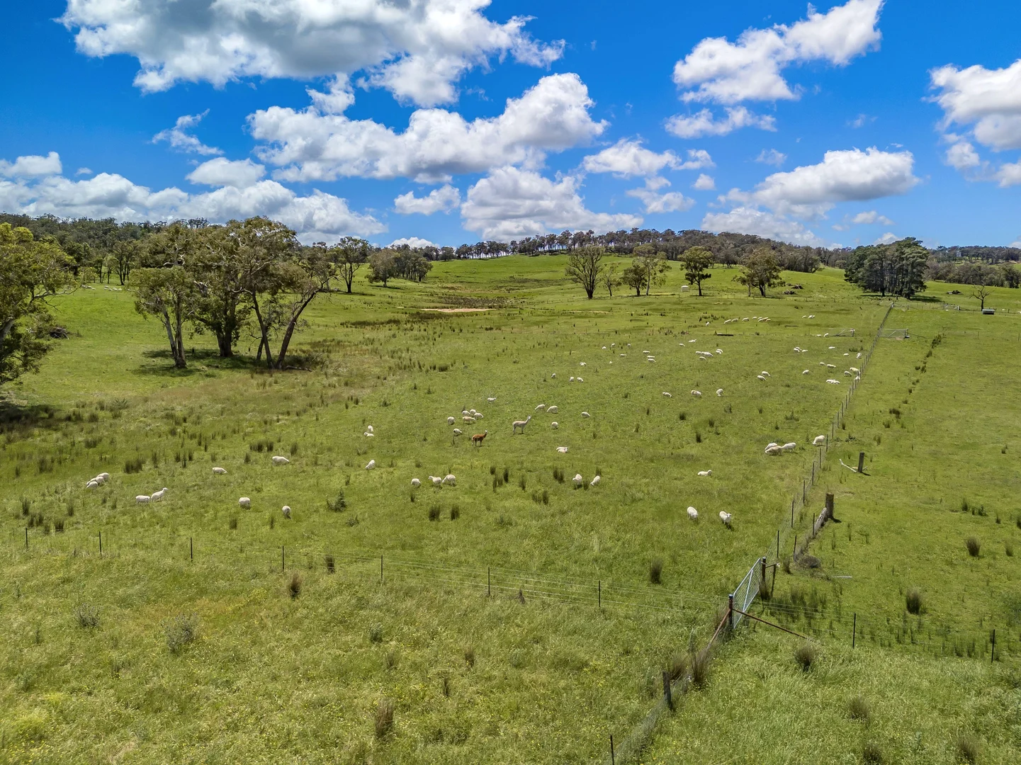 Additional image 22 of 1777 Canyonleigh Road, Canyonleigh NSW 2577