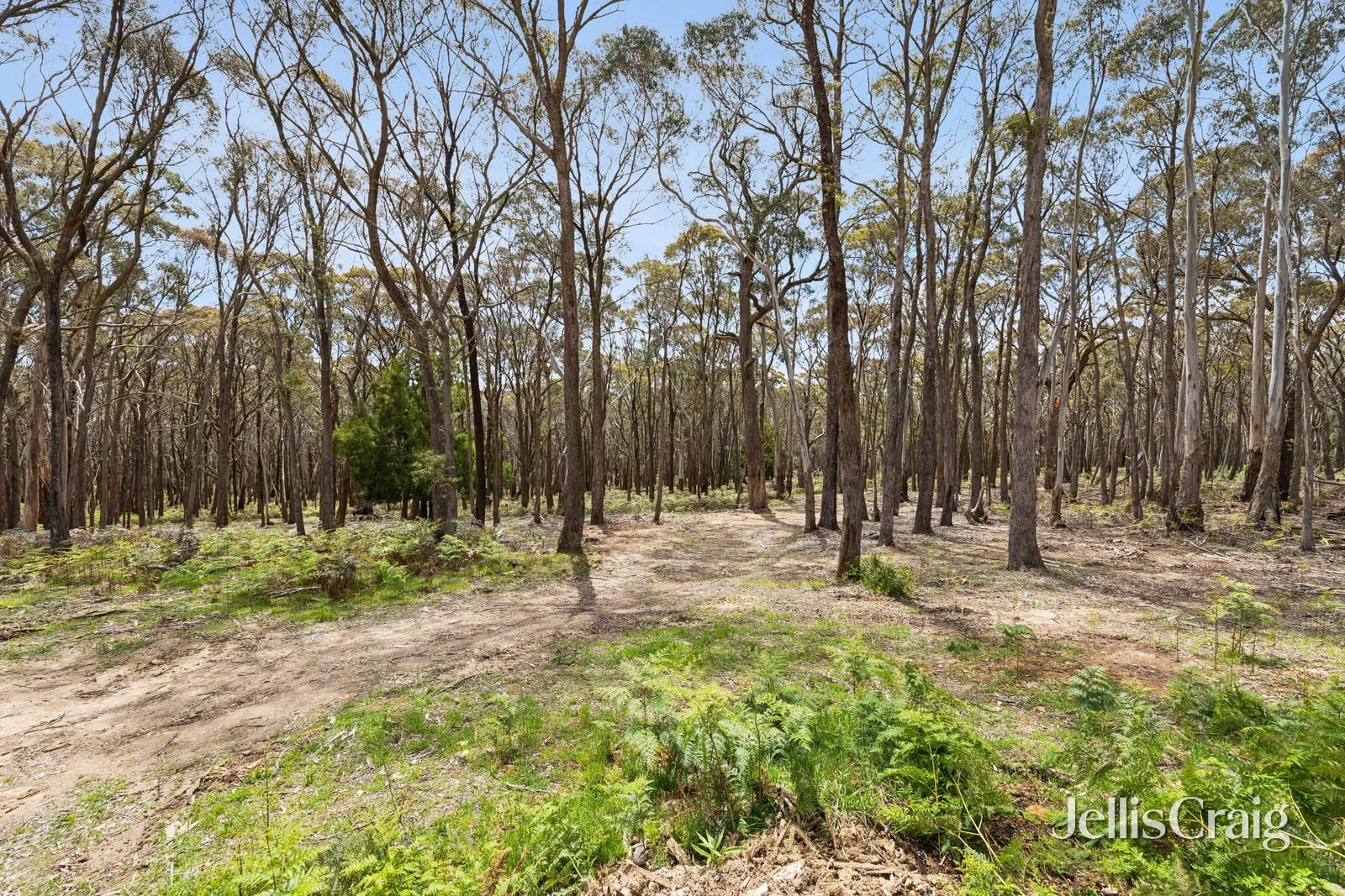 Additional image 6 of 34 Thomas Court, Gordon VIC 3345