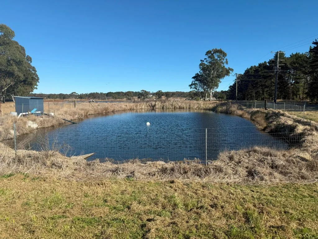 Additional image 12 of 79 Cottonvale School Rd, Cottonvale QLD 4375