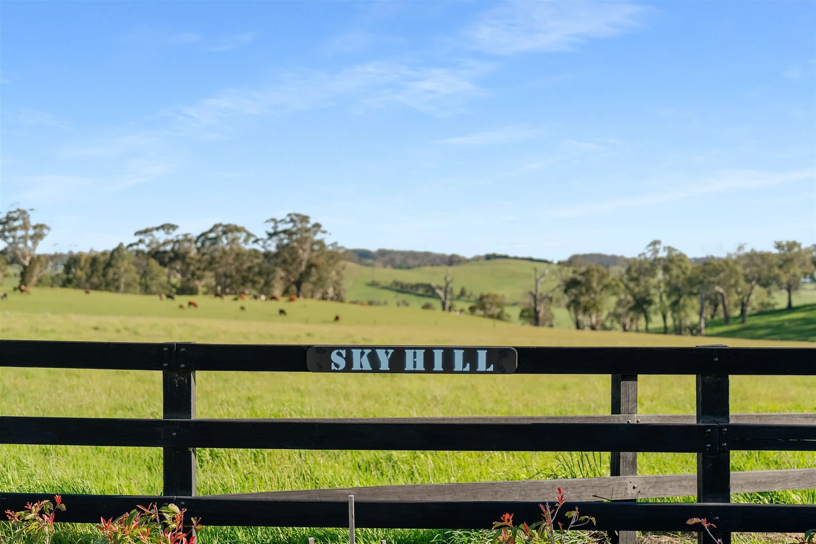 Additional image 28 of 62 Bibby's Lane, Werai NSW 2577