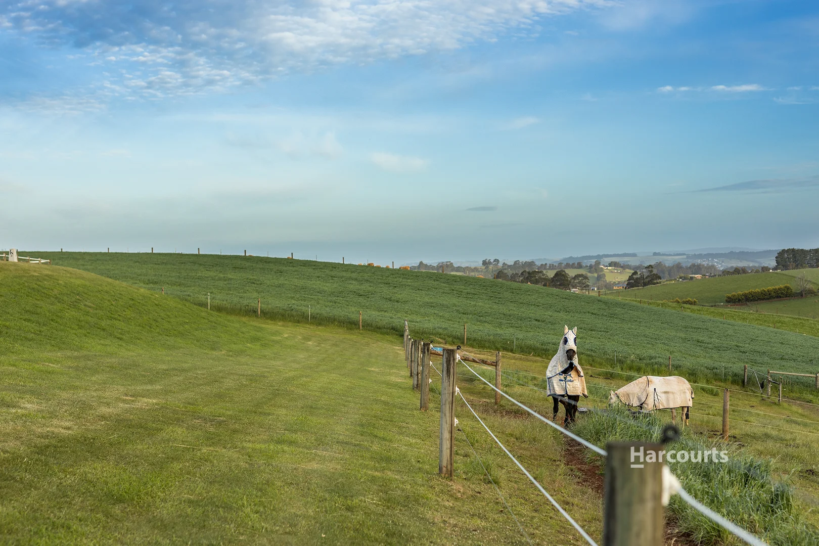 Additional image 25 of 107 White Hills Road, Penguin TAS 7316