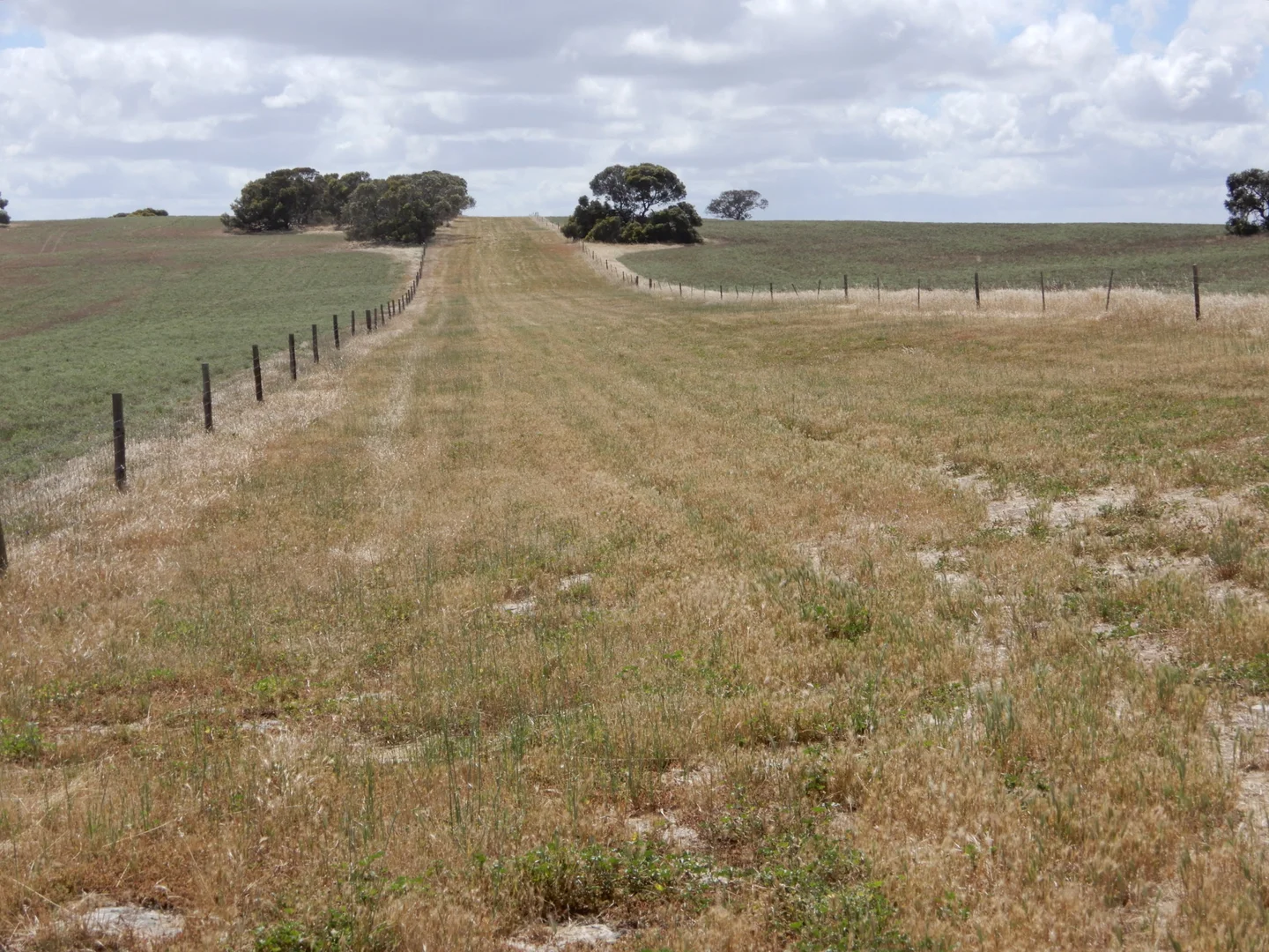 Additional image 12 of 33 Lutze Road, Coonalpyn SA 5265