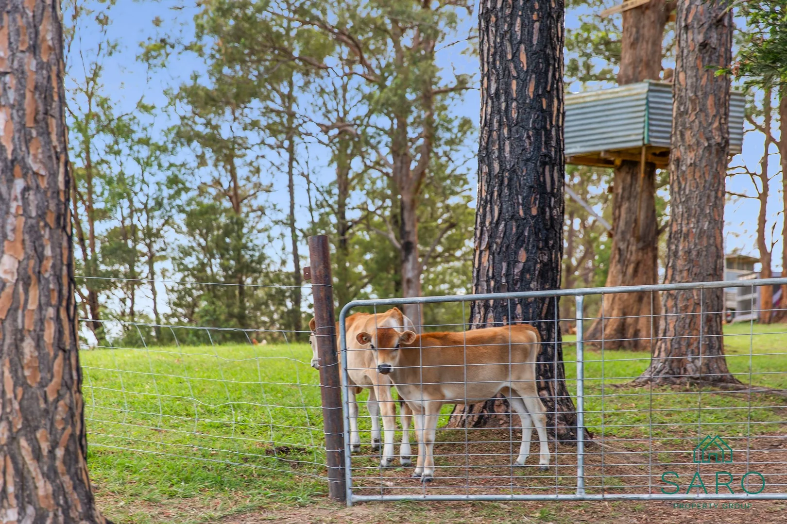 Additional image 16 of 109 Ellems Quarry Road, Nana Glen NSW 2450