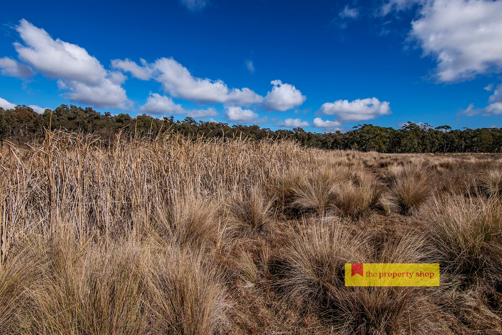 Additional image 8 of 4, 22 & 29/153 Triamble Road, Mudgee NSW 2850