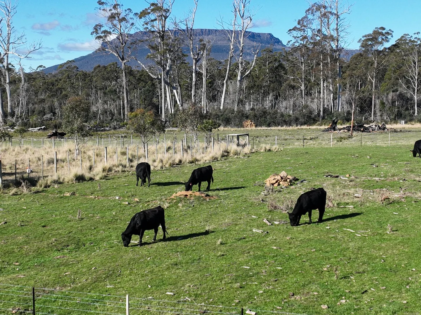 Additional image 15 of 560 Gads Hill Road, Mersey Forest TAS 7304