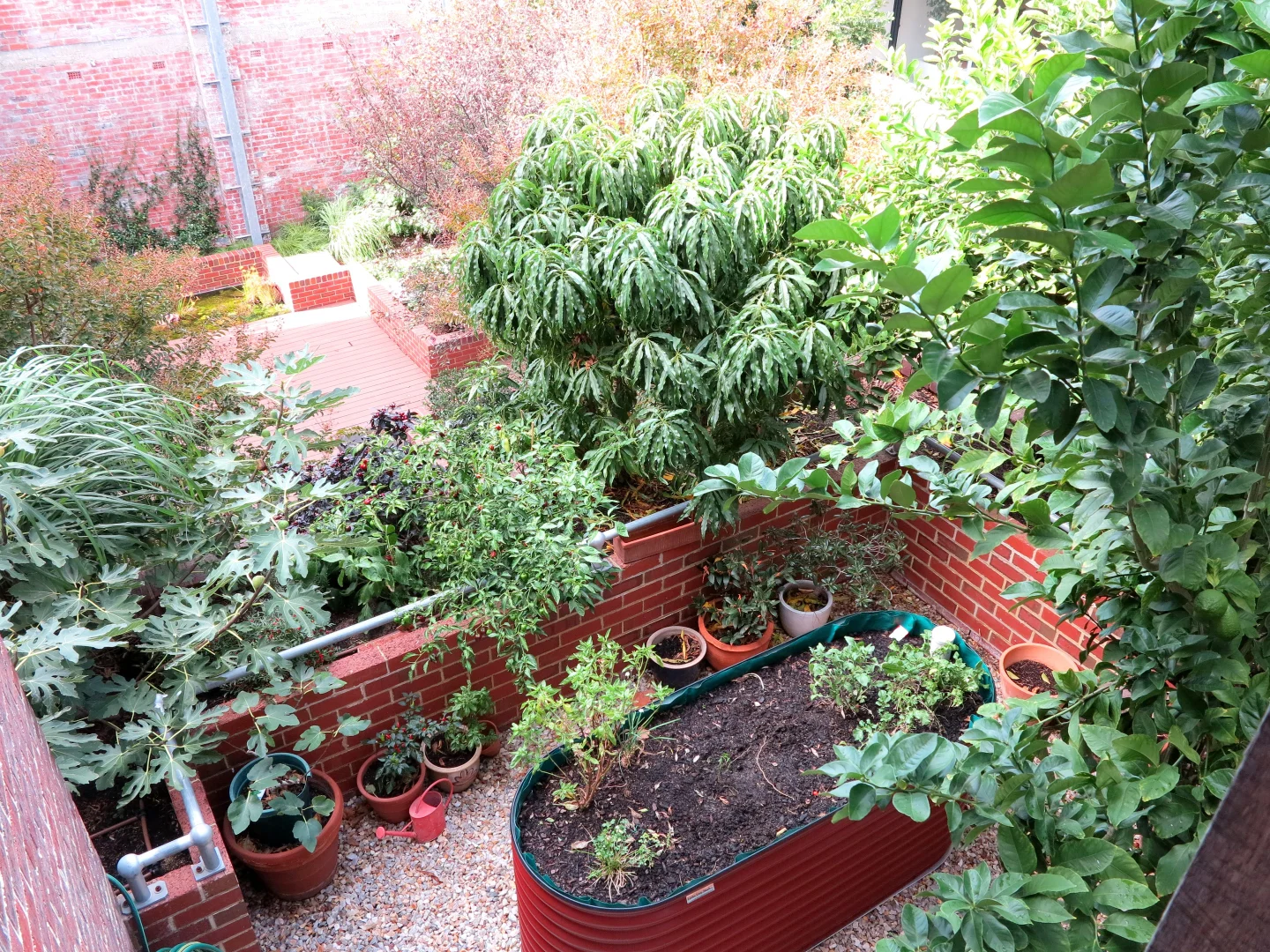 Additional image 20 of 30/14 Money Street, Perth WA 6000