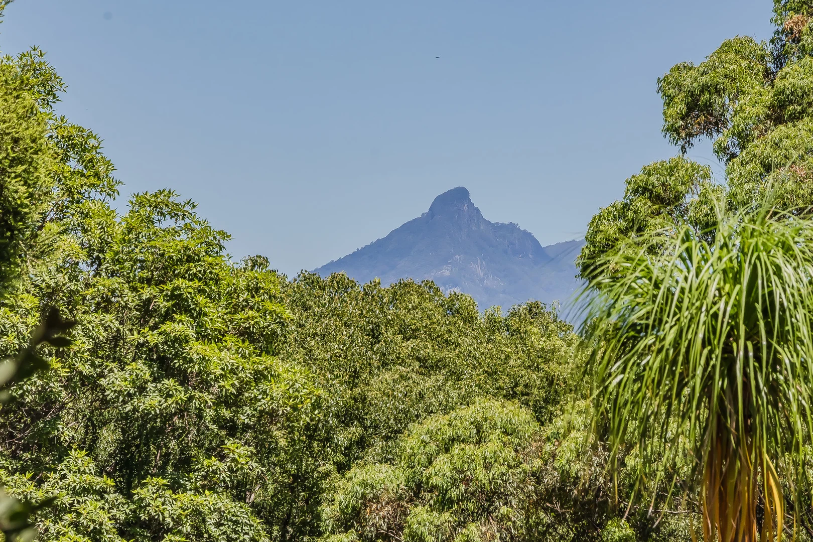 Additional image 29 of 269 Clothiers Creek Road, Nunderi NSW 2484