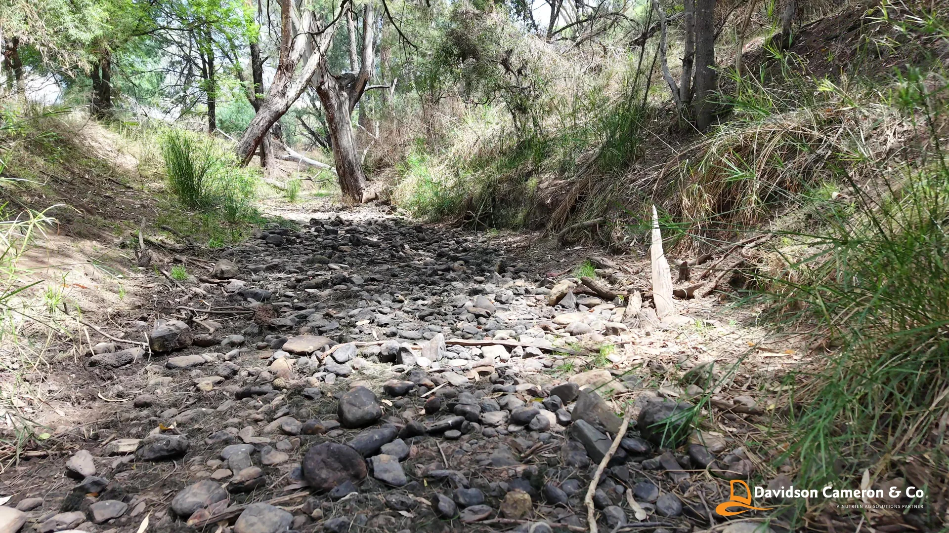 Additional image 5 of 946 Eulah Creek Road, Narrabri NSW 2390