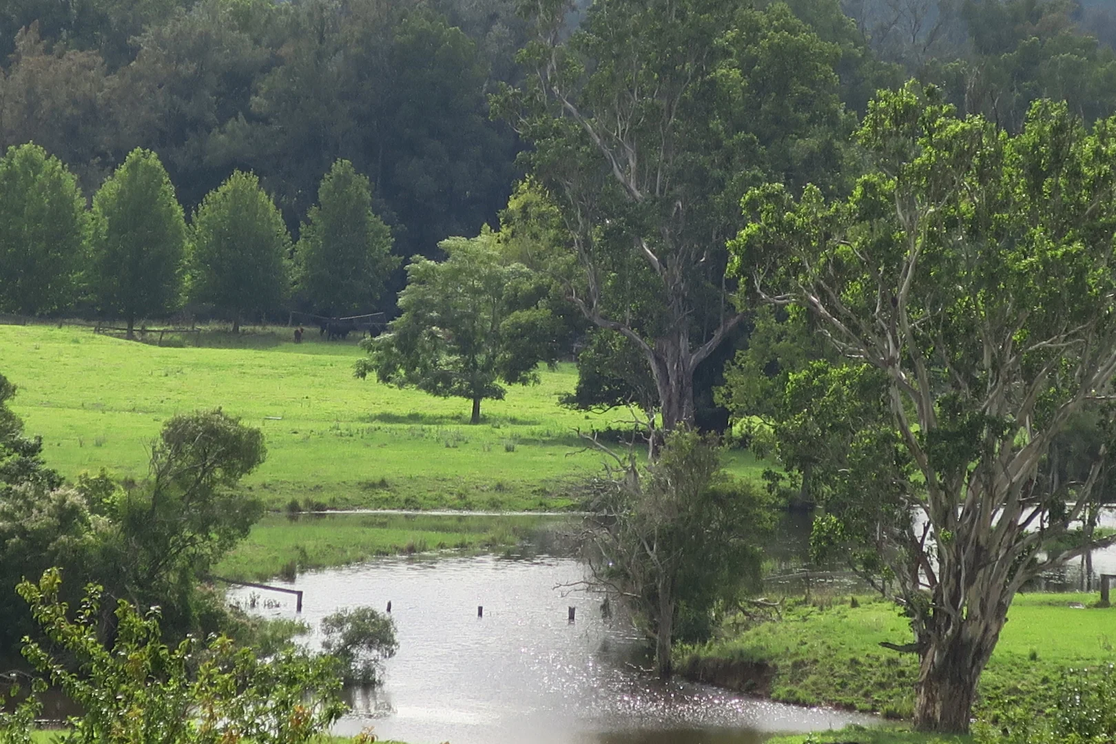 Additional image 5 of 1554 & 1598 Rollands Plains Road, Rollands Plains NSW 2441