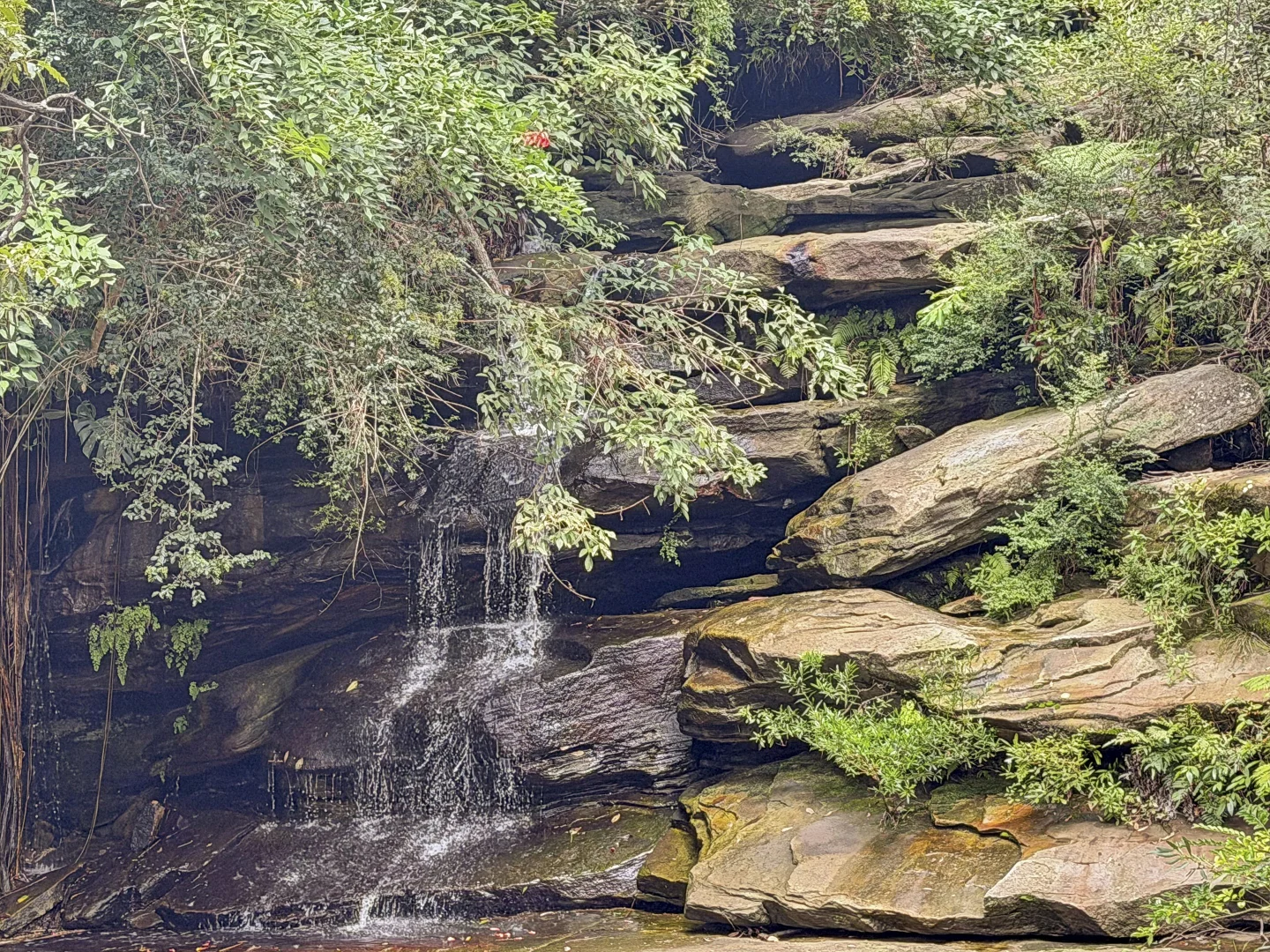 Additional image 25 of 311/81 Willandra Road, Narraweena NSW 2099