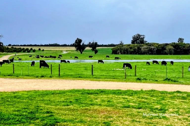 Additional image 10 of 1770 Beermullah Road West, Gingin WA 6503