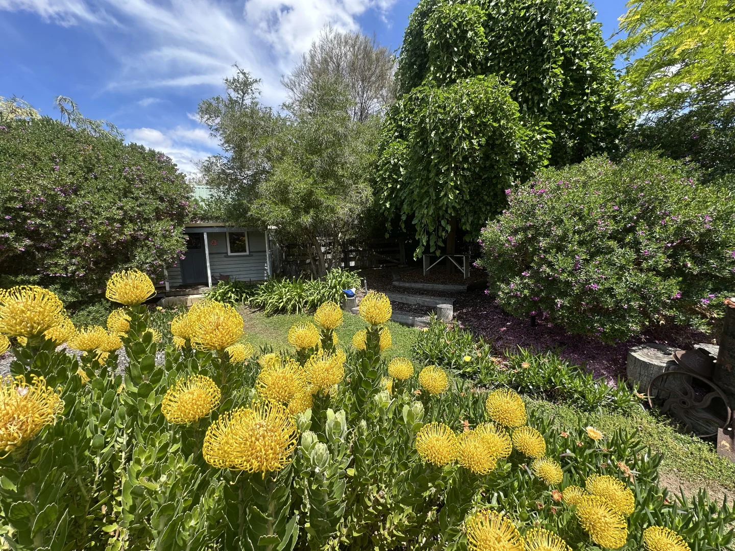 Additional image 42 of 7 Ware Street, Wagin WA 6315