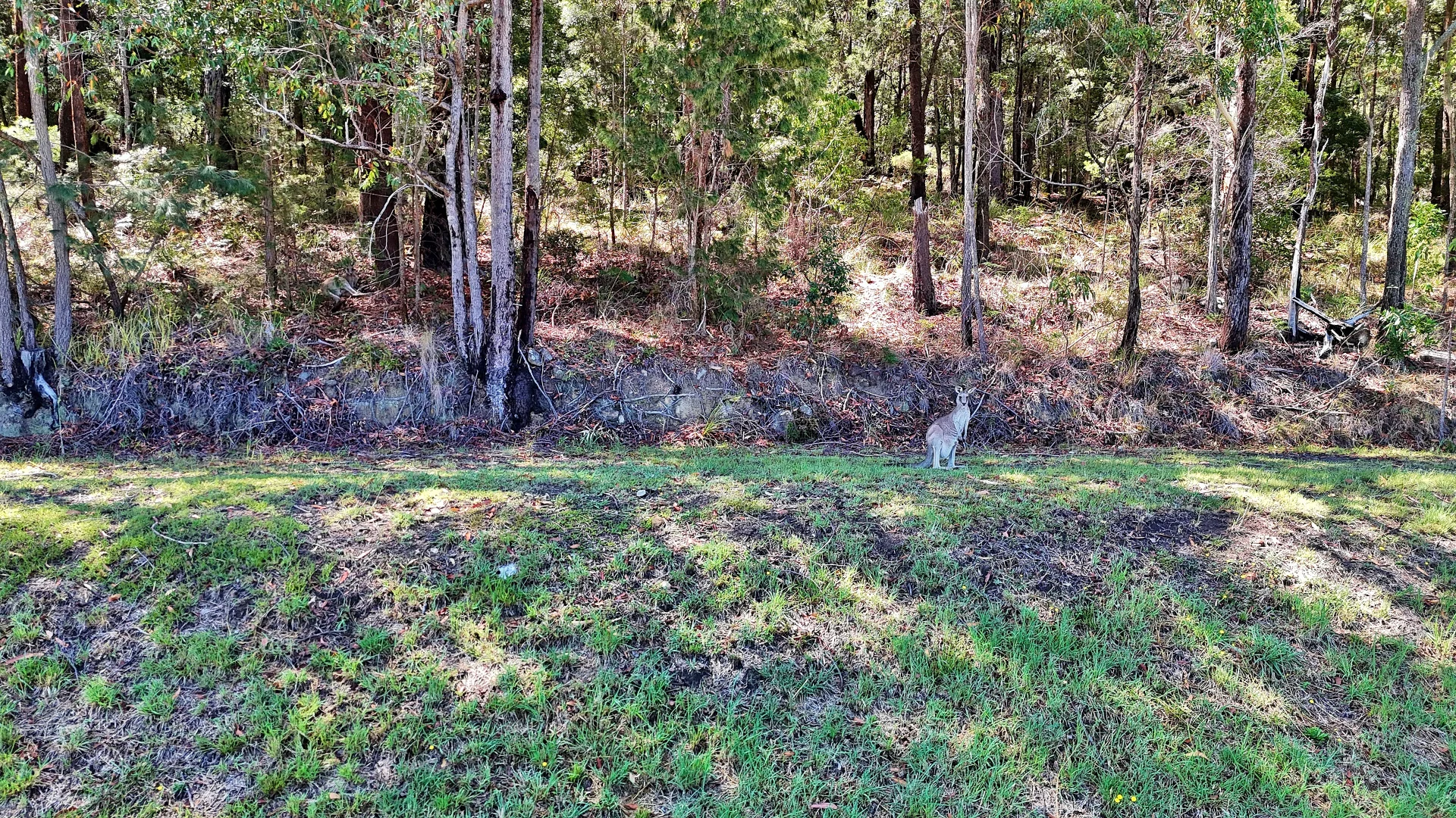 Additional image 4 of 4 Candlebark Court, Lakewood NSW 2443