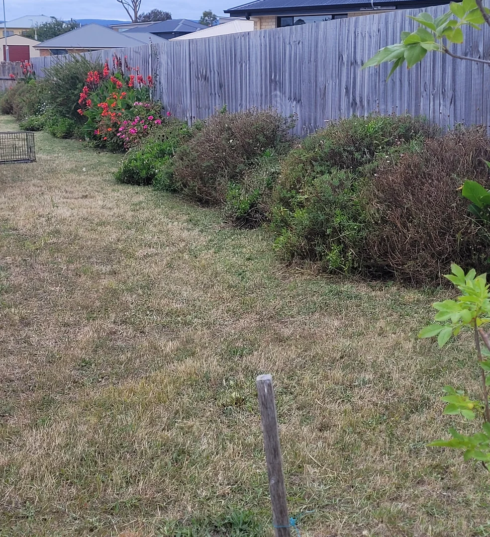 Additional image 8 of 4 Olivia Court, Swansea TAS 7190