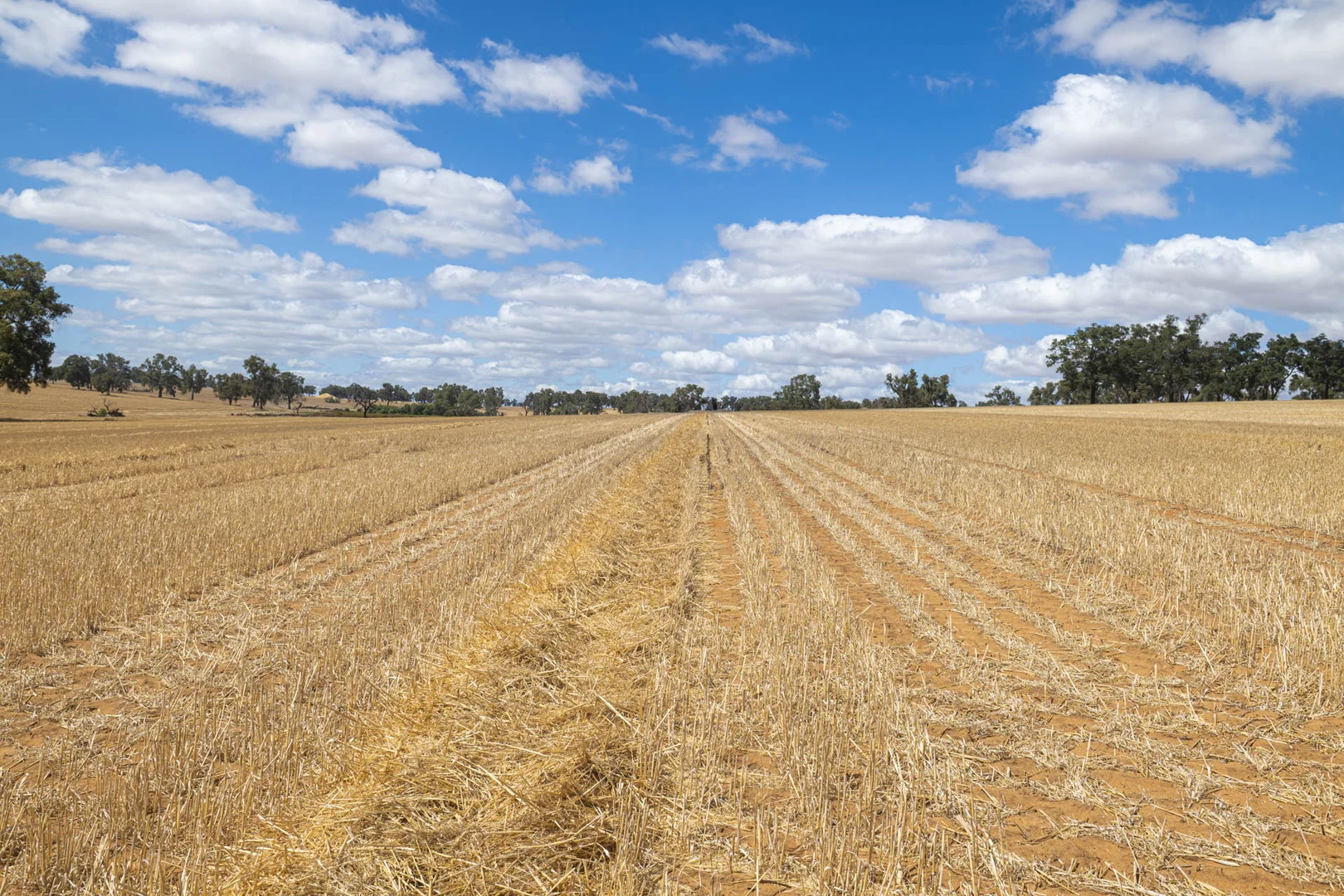 Additional image 3 of 1830 Rowes Road, Dandaragan WA 6507