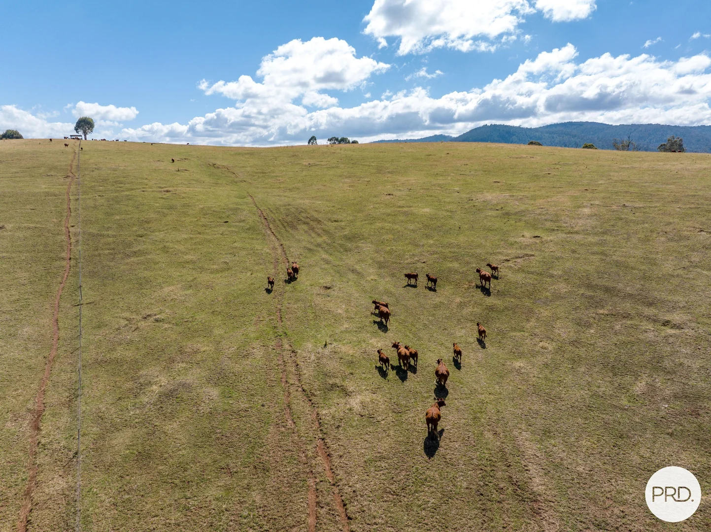 Additional image 39 of 1100 Batlow Road, Tumbarumba NSW 2653