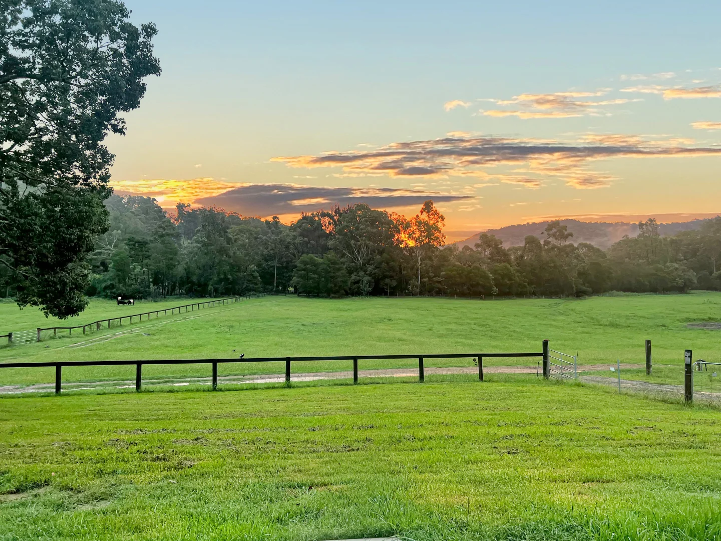 Additional image 4 of 61 Narone Creek Rd, Wollombi NSW 2325