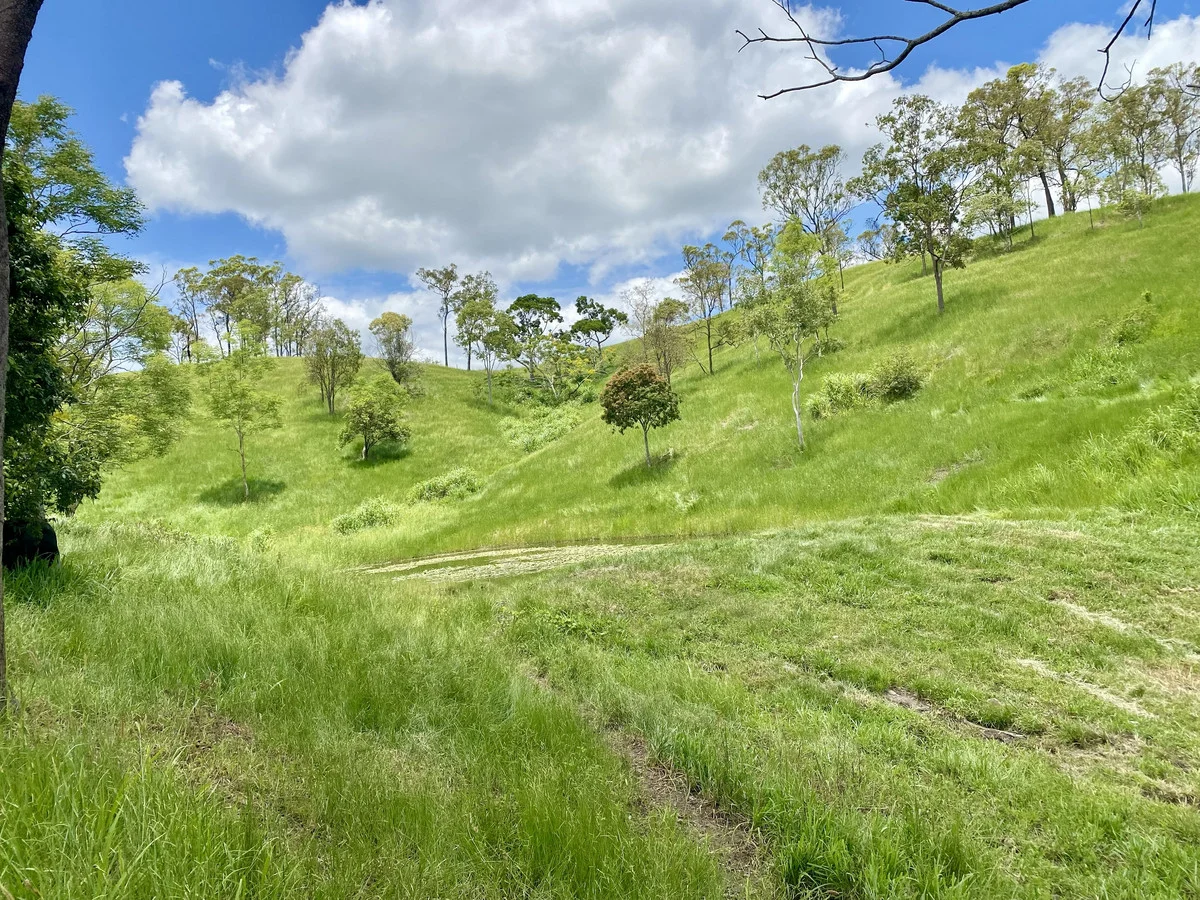 Additional image 7 of 558 Marlborough-Sarina Road, Sarina QLD 4737