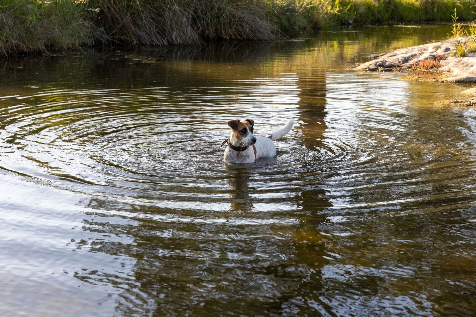 Additional image 4 of 643 Silvermines Road, Inverell NSW 2360