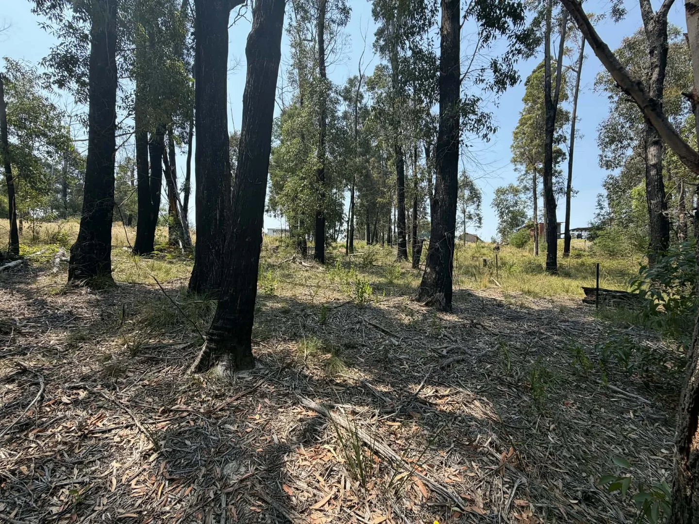 Additional image 8 of 69 Karbeethong Avenue, Mallacoota VIC 3892