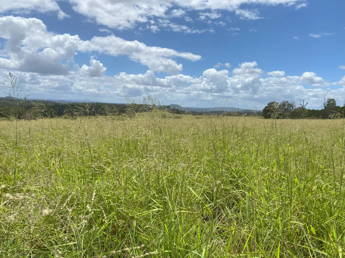 Additional image 6 of 'Sunrise' Mclaughlans Road, Monto QLD 4630