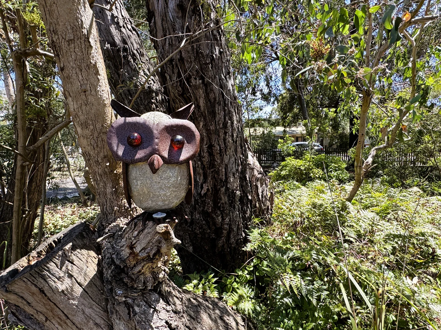 Additional image 21 of 14 McMillan Street, Anglesea VIC 3230