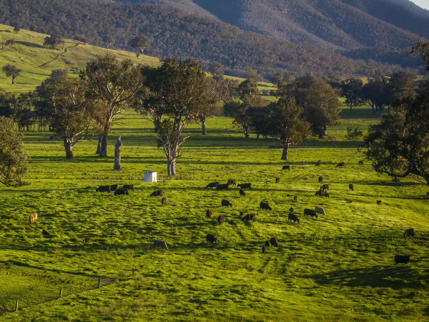 Additional image 28 of 3091 Shelley Road, Walwa VIC 3709