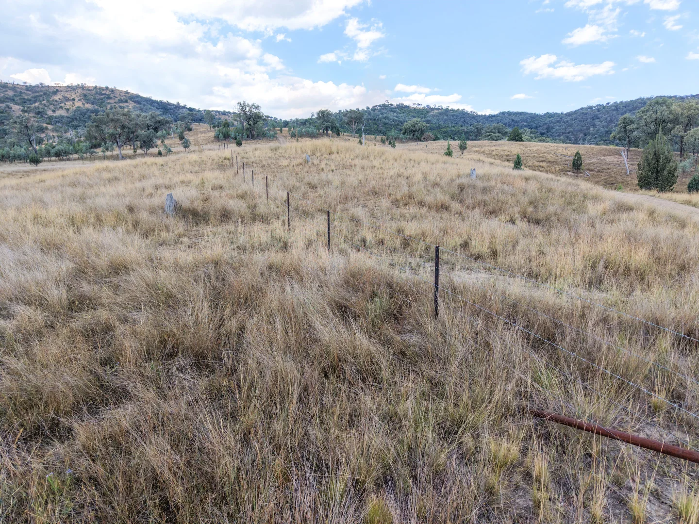 Additional image 5 of Lot 21 Gibraltar Road, Tenterfield NSW 2372