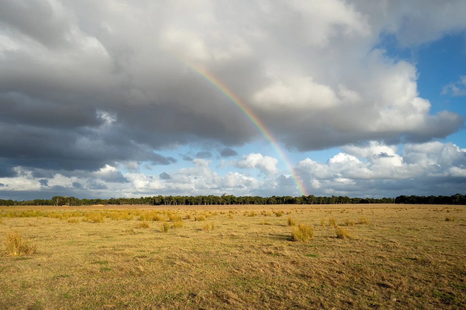 Lot 474 Yellanup Road, Narrikup WA 6326