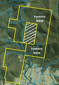 Additional image 16 of 427 Shaws Road, Hollisdale NSW 2446