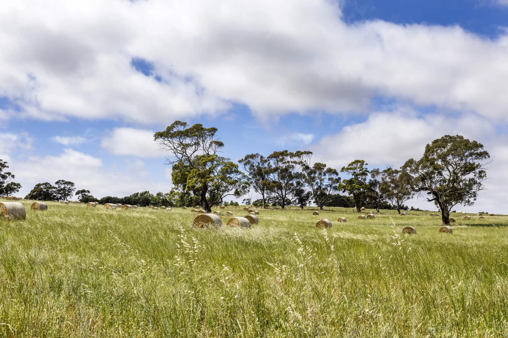 Additional image 10 of 178 Jutland Road, Springton SA 5235