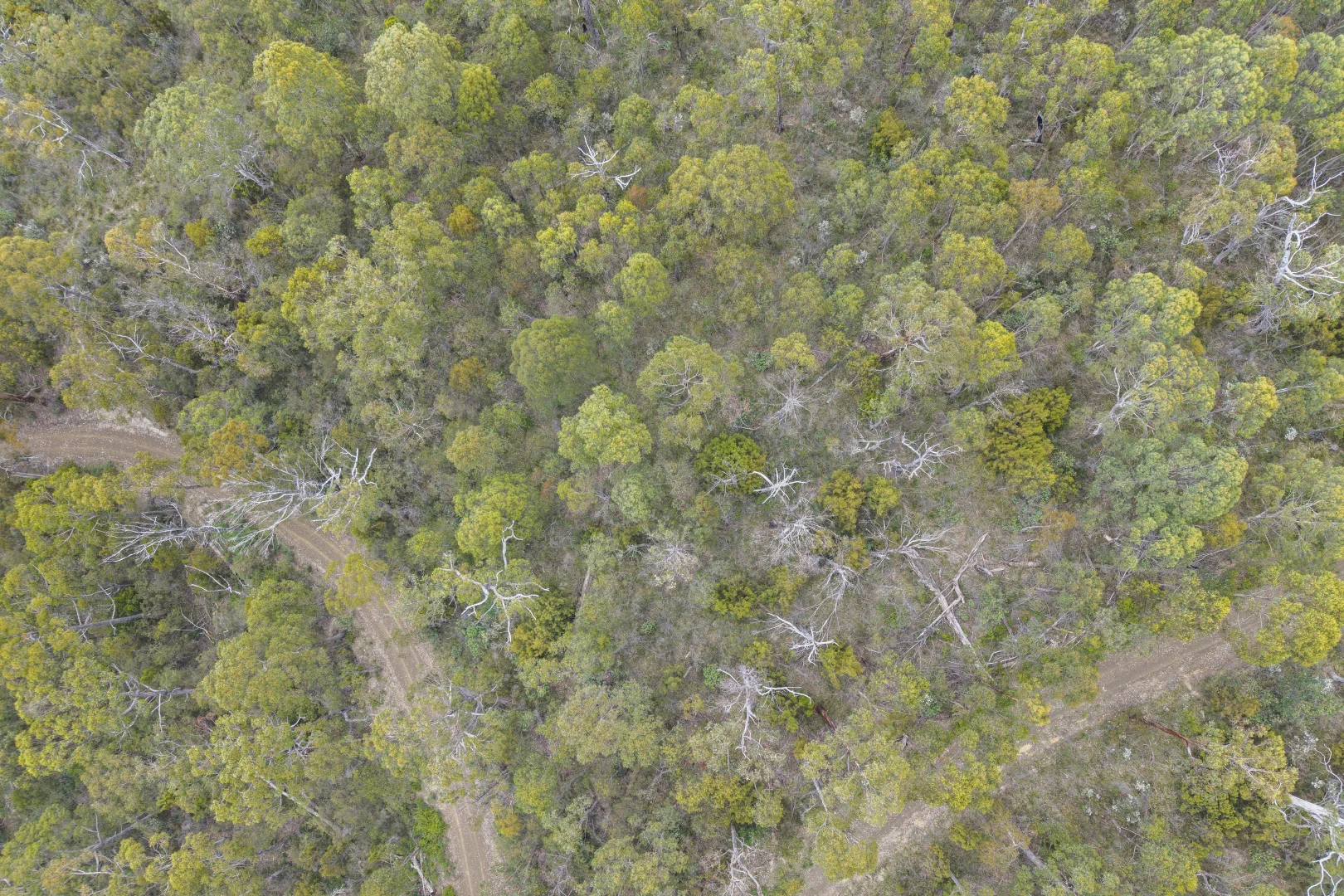 Additional image 10 of 5286 Channel Highway, Gordon TAS 7150