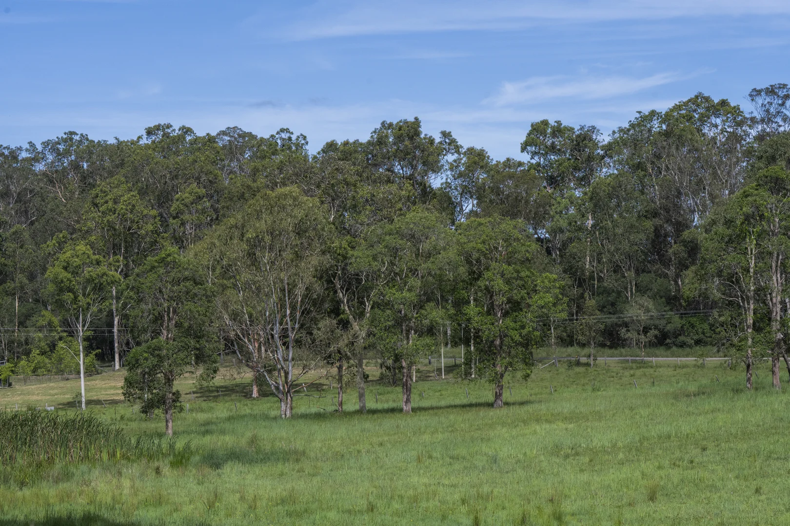 Additional image 21 of 65 Cook Street, Lawrence NSW 2460