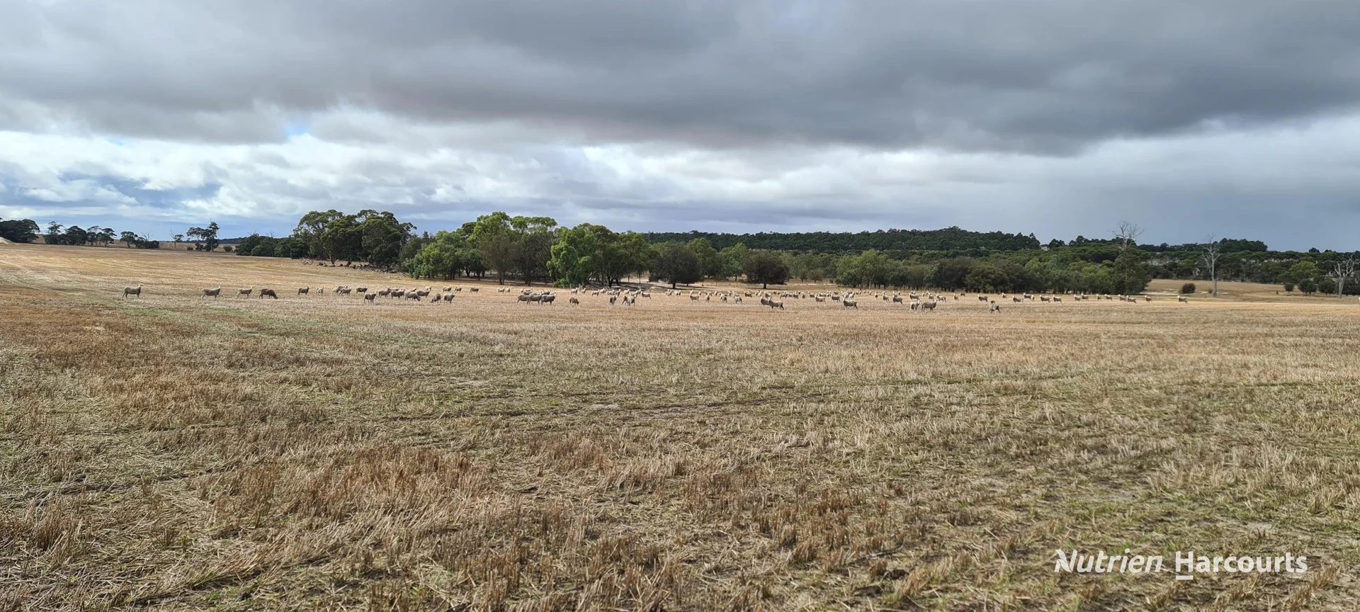 Additional image 10 of Lot 347 Yarralena Road, Cranbrook WA 6321