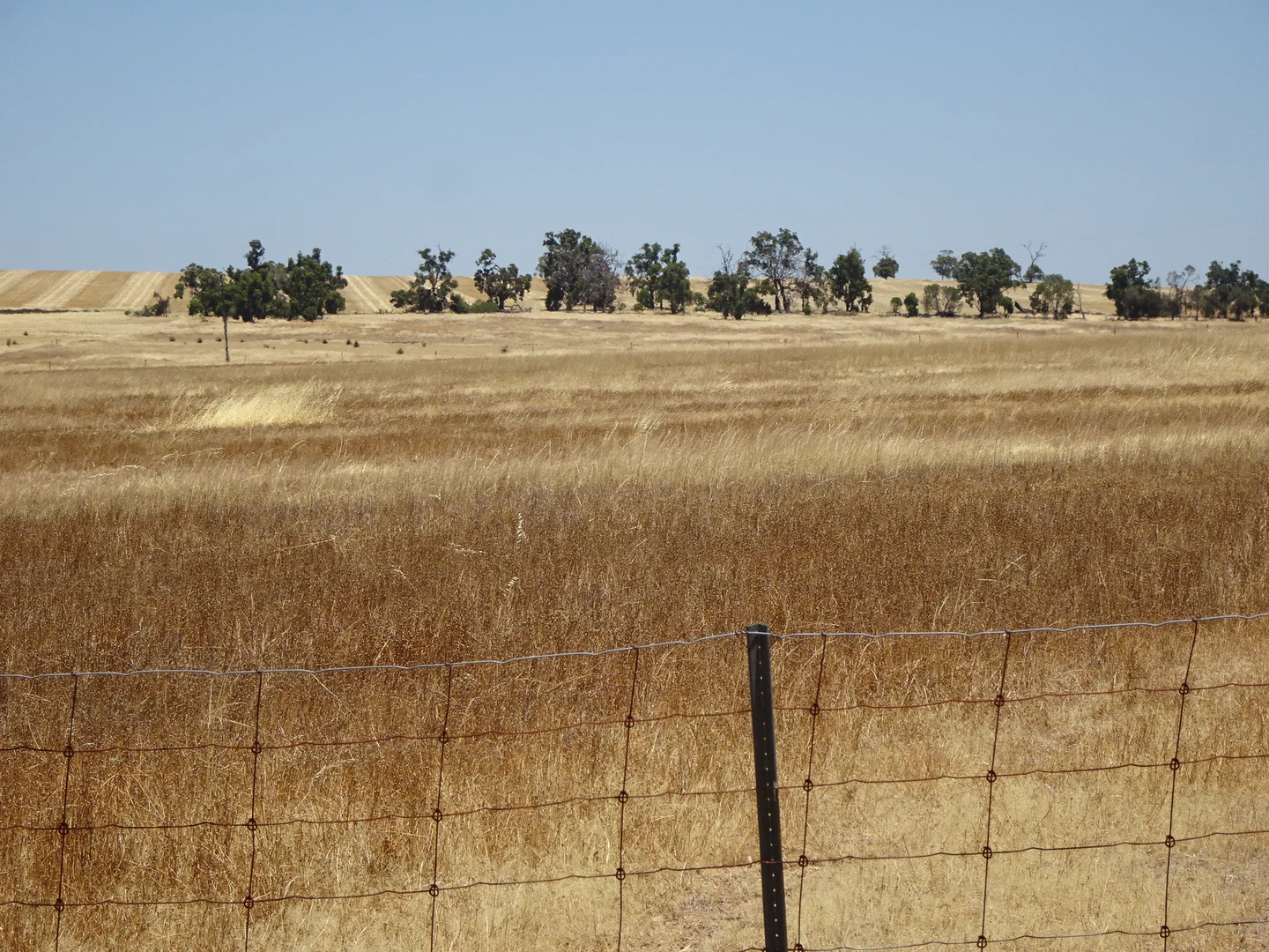 Additional image 10 of 160 Chittleborough Road, Brookton WA 6306