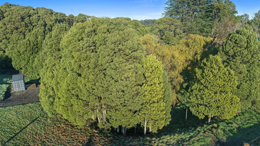 Additional image 11 of 33-39 Great Ocean Road, Lavers Hill VIC 3238