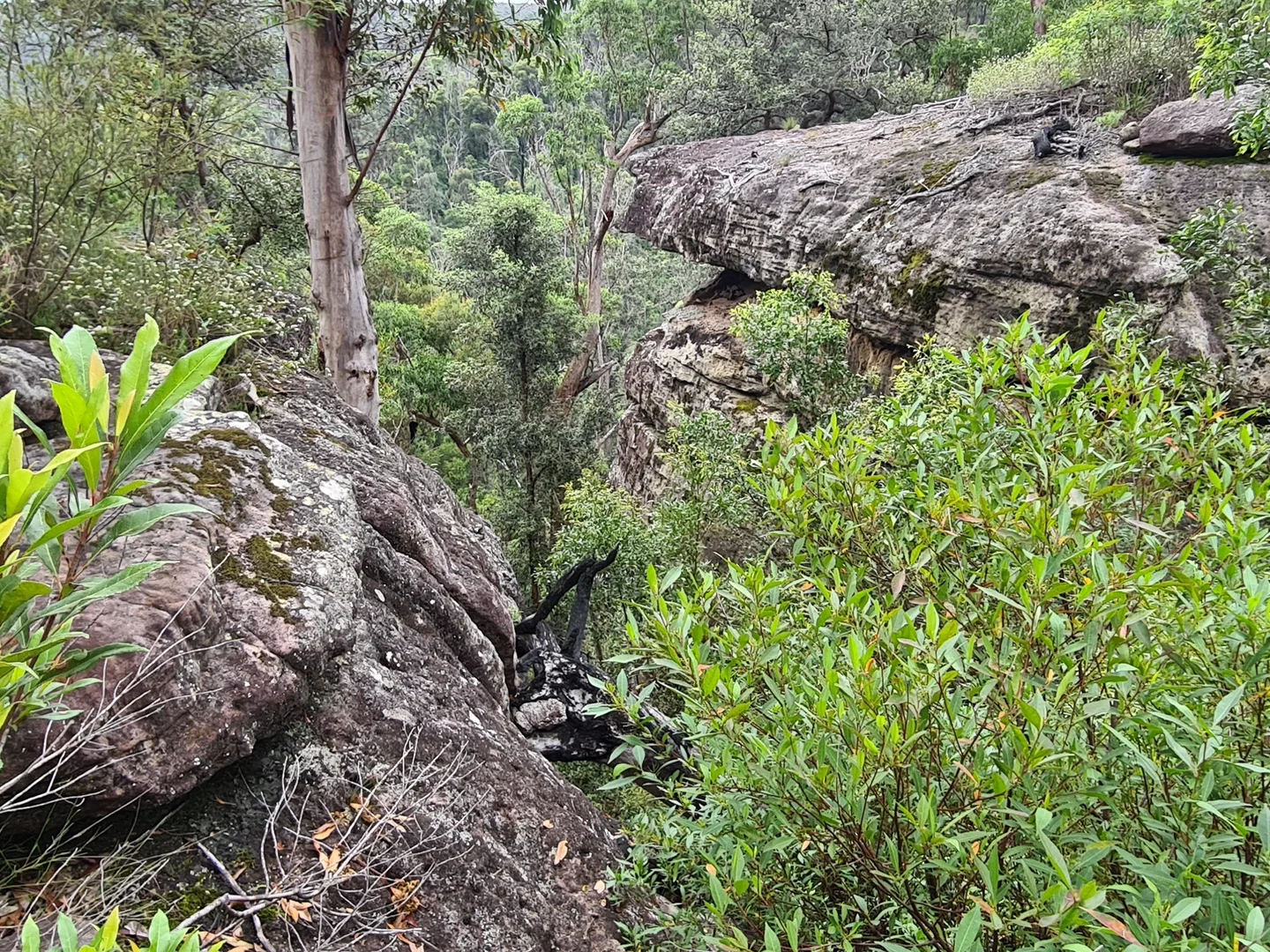 Additional image 12 of Illaroo NSW 2540