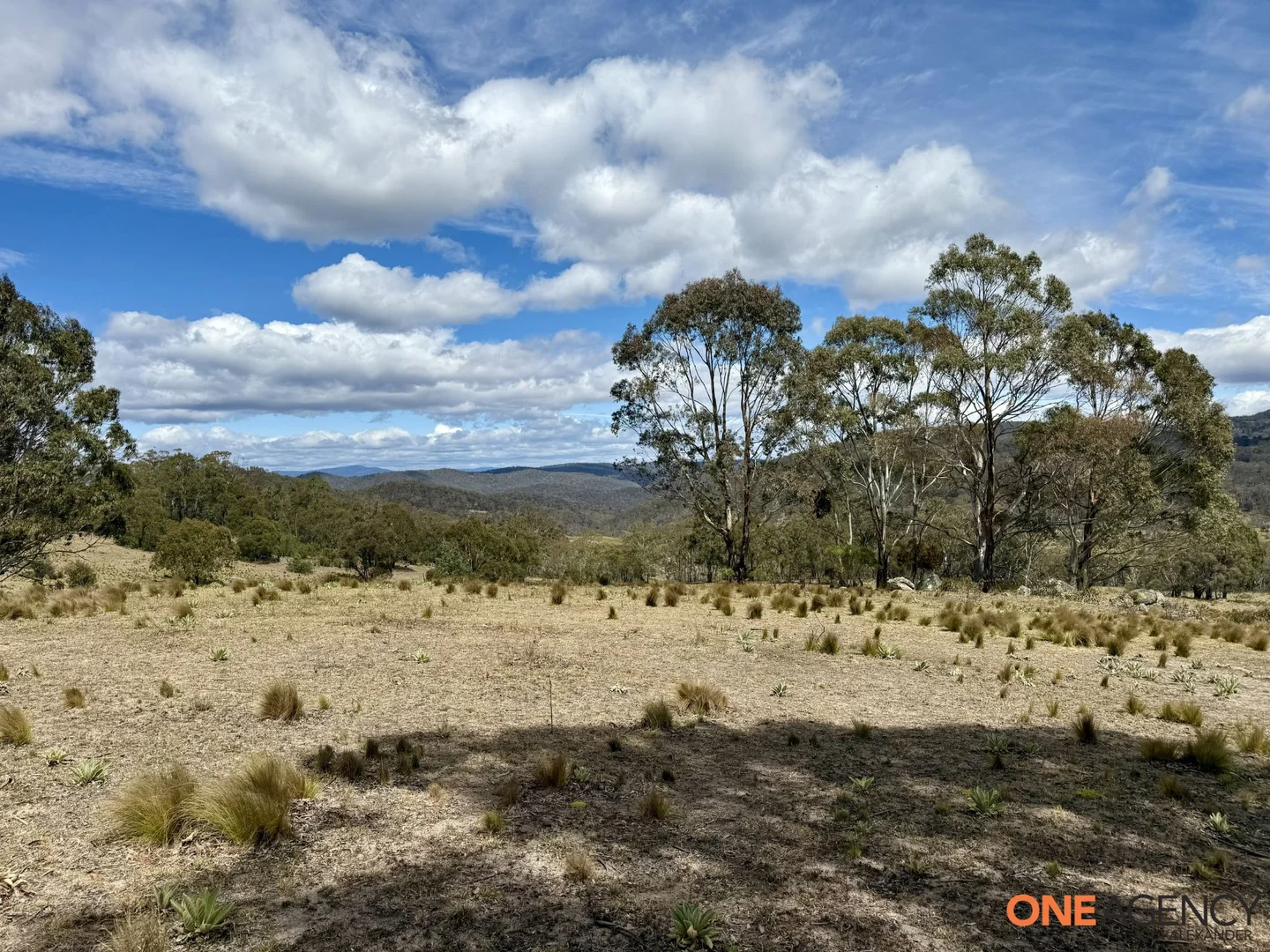 Additional image 12 of Lots 73 & 78 / 125 Fistys Lane, Jerangle NSW 2630