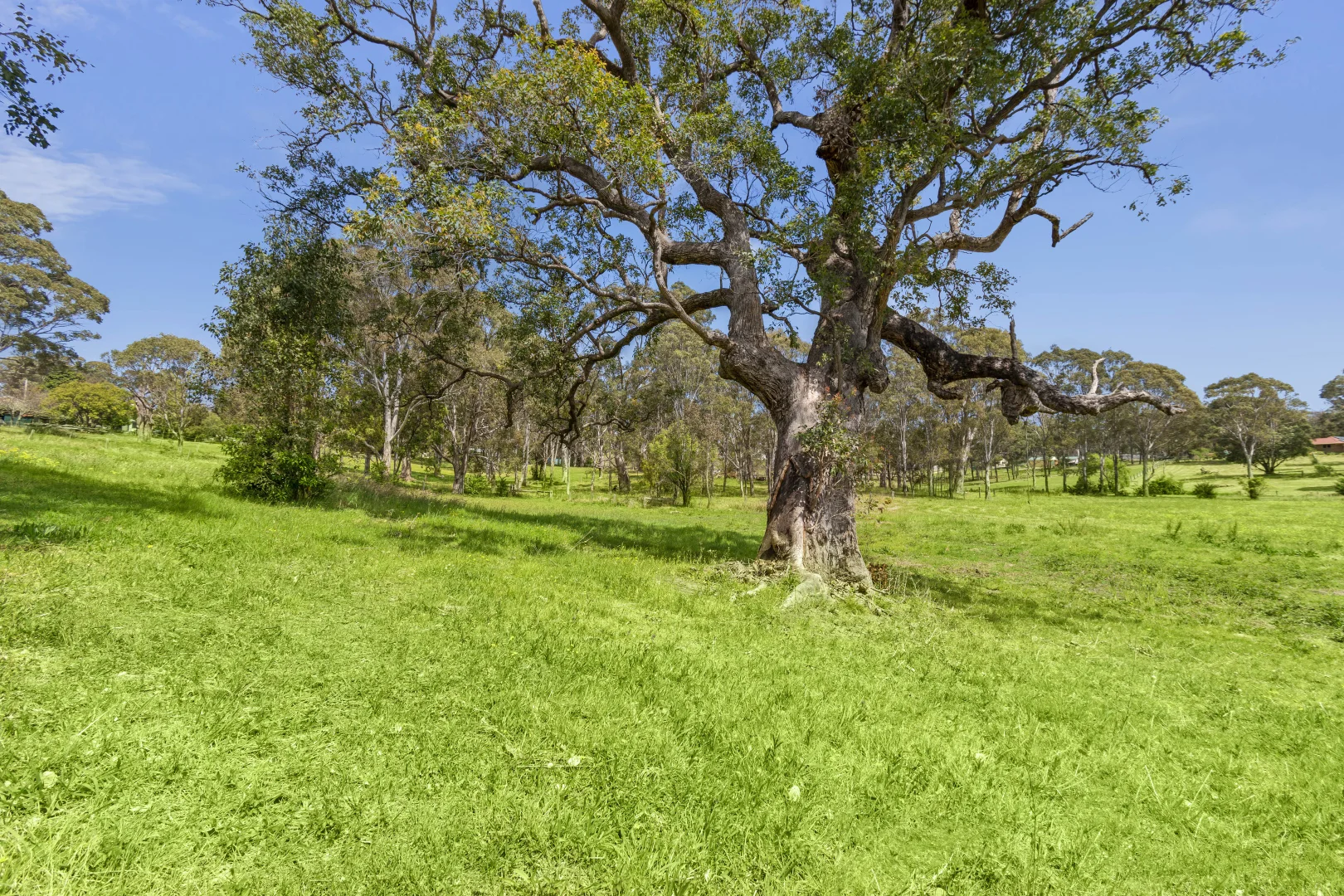 Additional image 4 of 15 Cheddar Street, Moruya NSW 2537