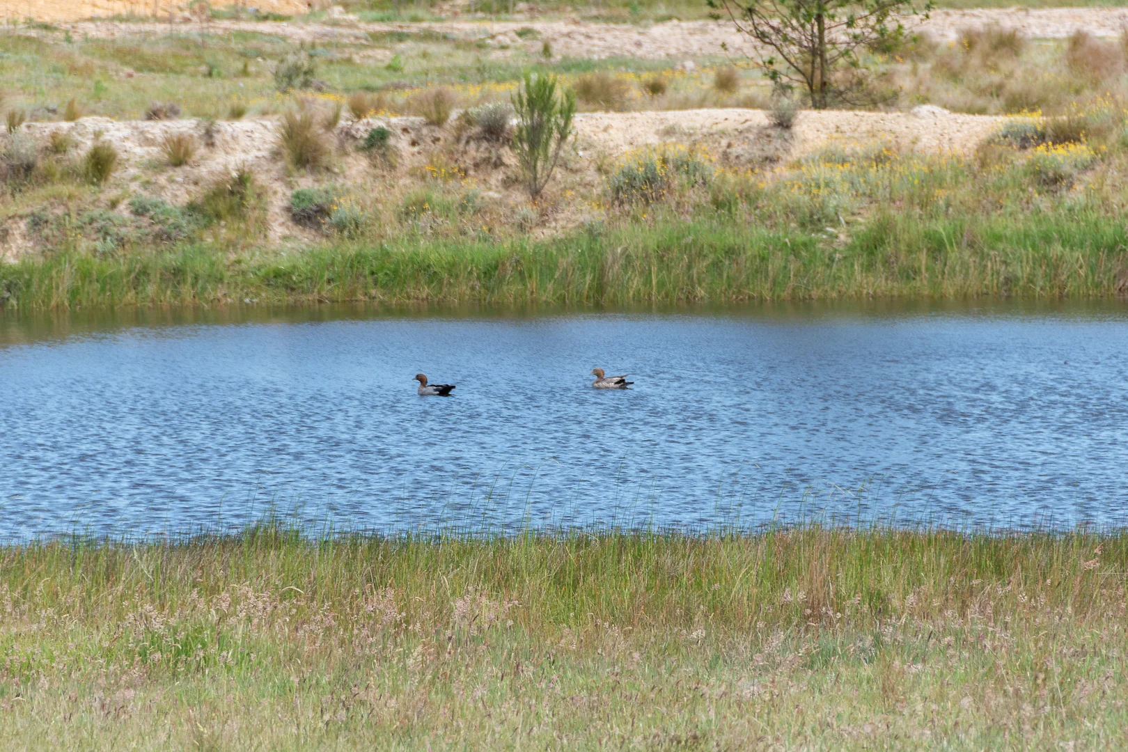 Additional image 2 of 14/371 Mayfield Road, Braidwood NSW 2622