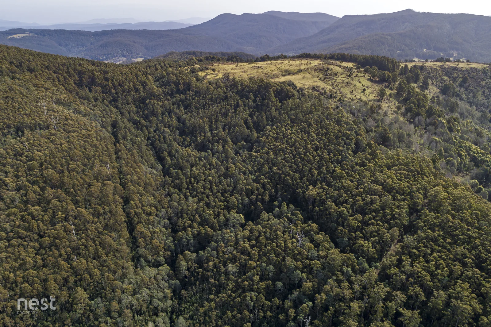 Additional image 33 of 405 Whittons Road, Kettering TAS 7155