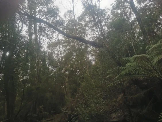 Additional image 10 of 0 Studderds Road, Moorleah TAS 7325