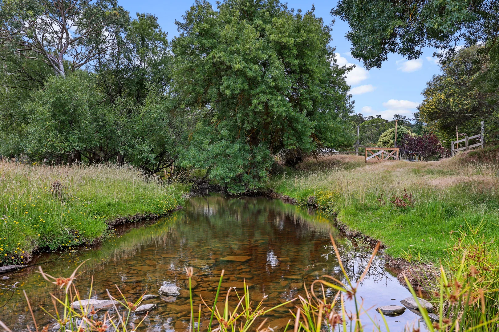 Additional image 32 of 203 Nettle Hill Road, Hindmarsh Valley SA 5211