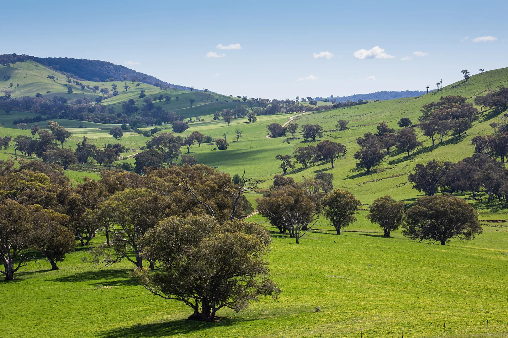 Additional image 5 of Holbrook NSW 2644