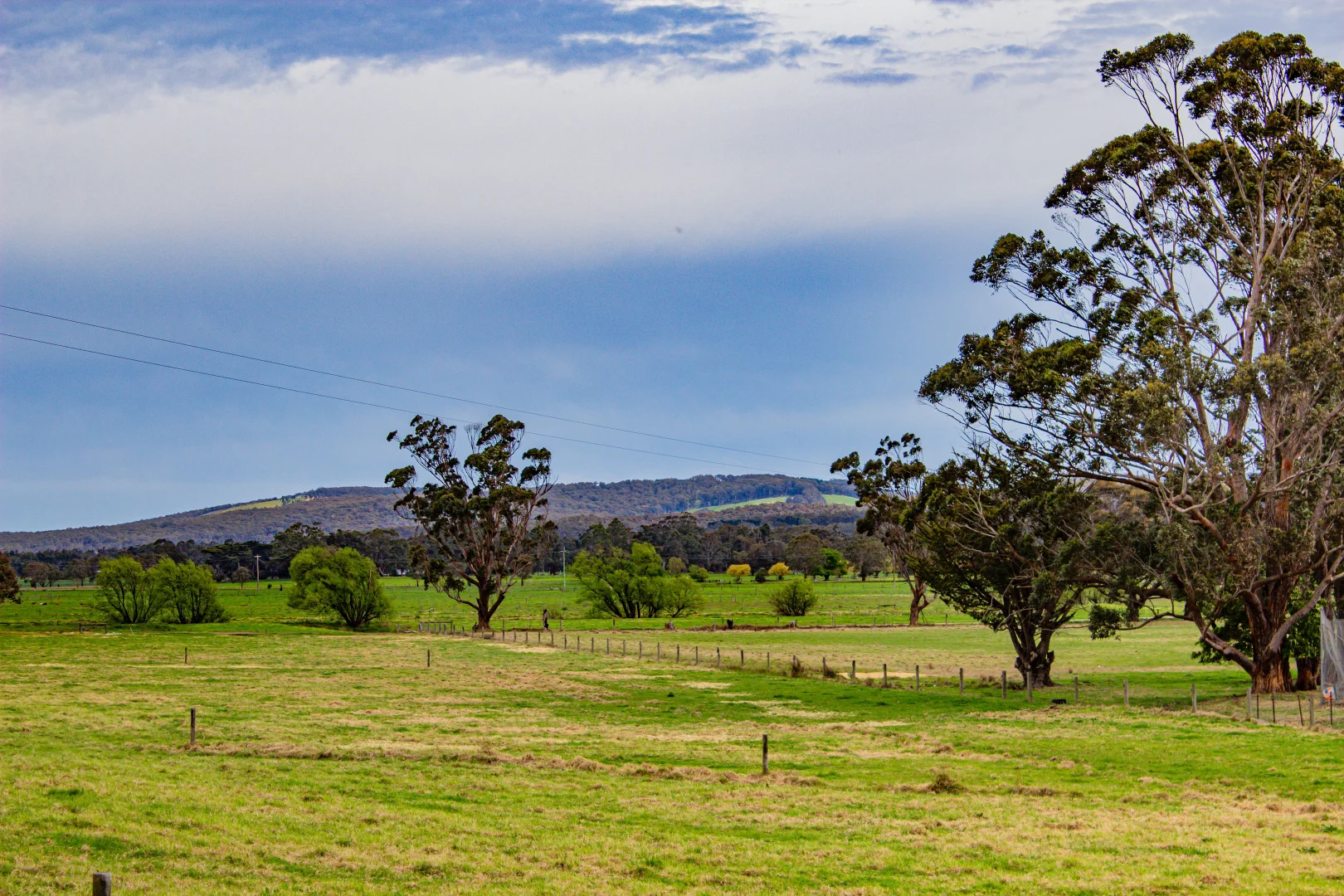 Additional image 2 of 4731 Hyland Highway, Won Wron VIC 3971