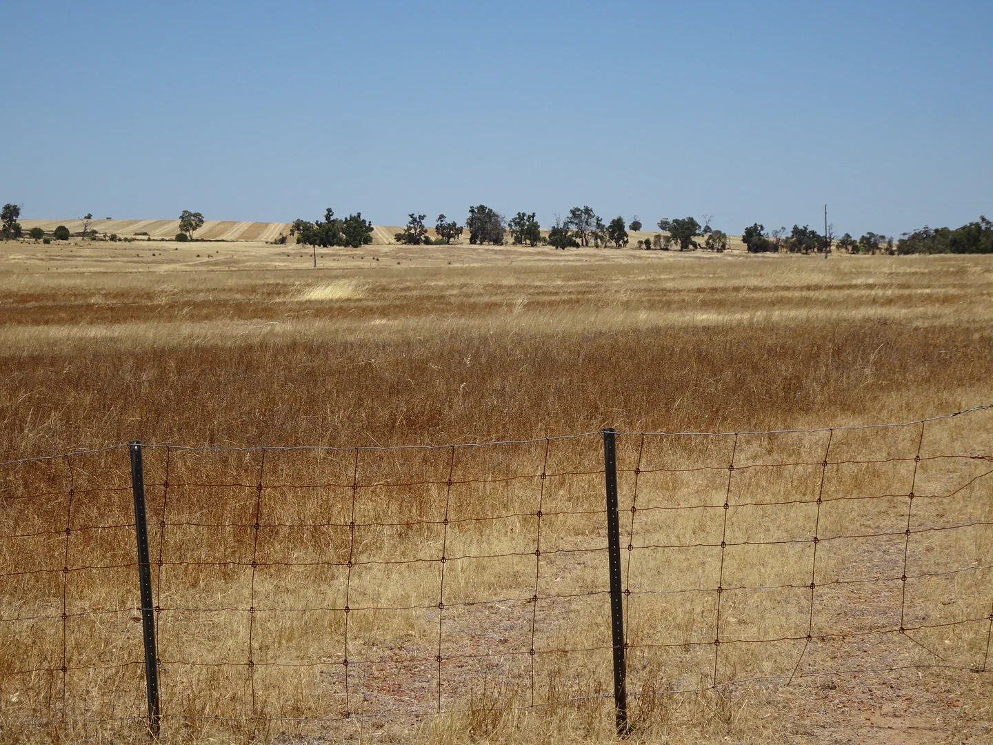 Additional image 11 of 160 Chittleborough Road, Brookton WA 6306