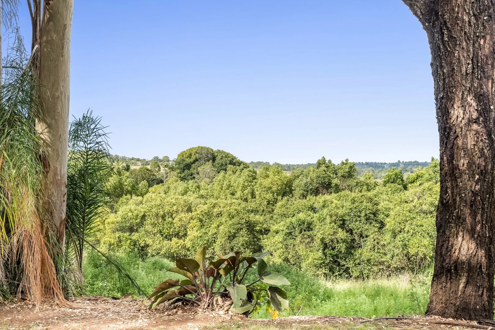 Additional image 31 of 247 Richmond Hill Road, Richmond Hill NSW 2480