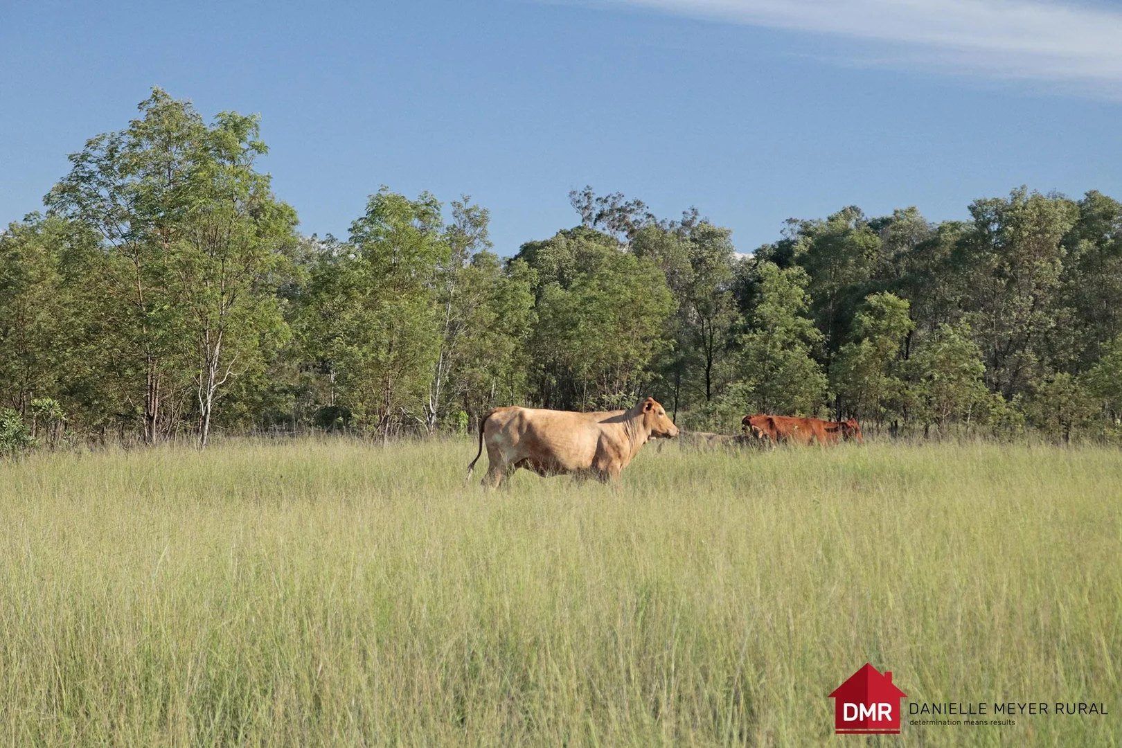 Additional image 14 of 24754 Burnett Highway, Ceratodus QLD 4627